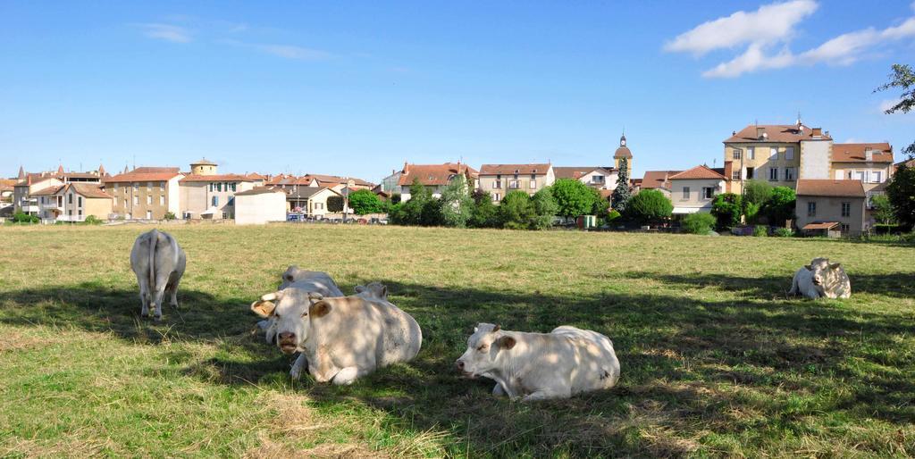 فندق Relais De L'Abbaye Charlieu المظهر الخارجي الصورة